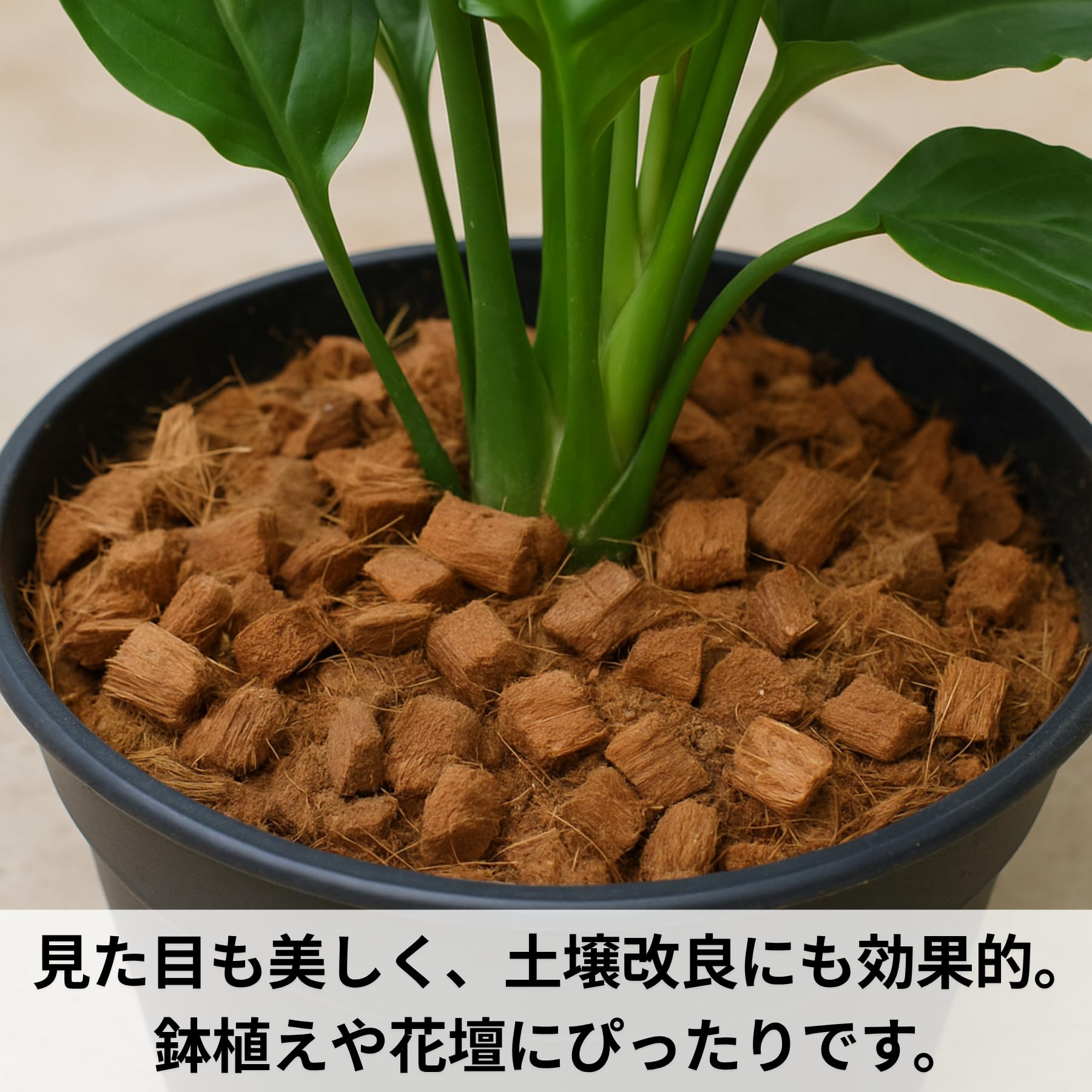 Amazon | YOTSUBA＋ ハスクチップ ココチップ 観葉植物 マルチング